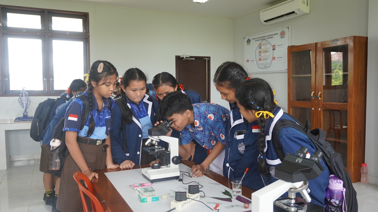 Project Profil Lulusan 16