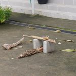 Prosesi Melaspas Gedung Kantor Dwisma dsc02233