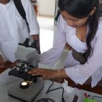 Project Profil Lulusan dsc03417