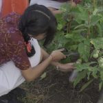 Genta Paten 2024 whatsapp image 2024 07 24 at 22.30.03 (1)